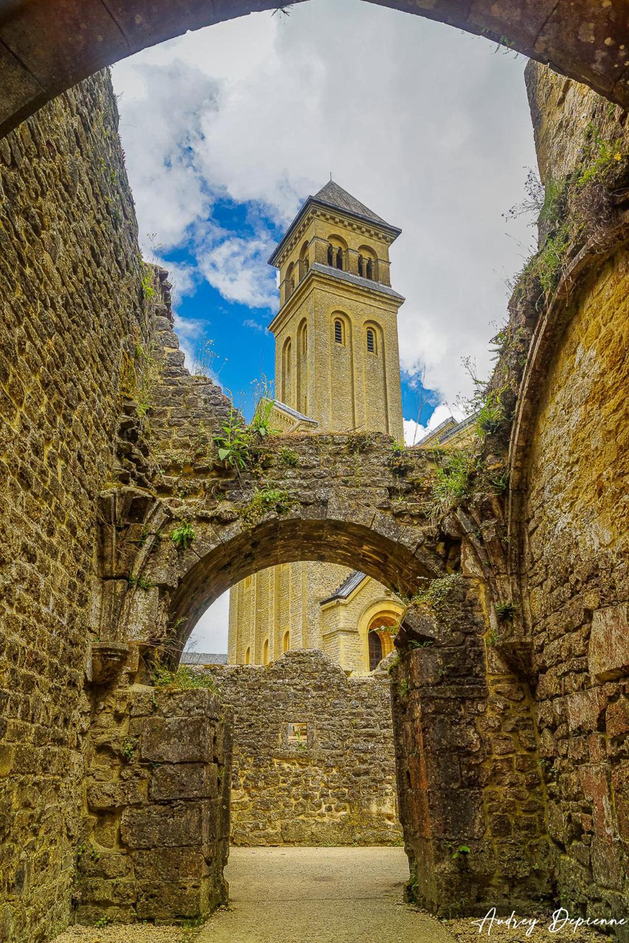 Bed and Breakfast Orval16 Abbaye d'Orval Exterior foto